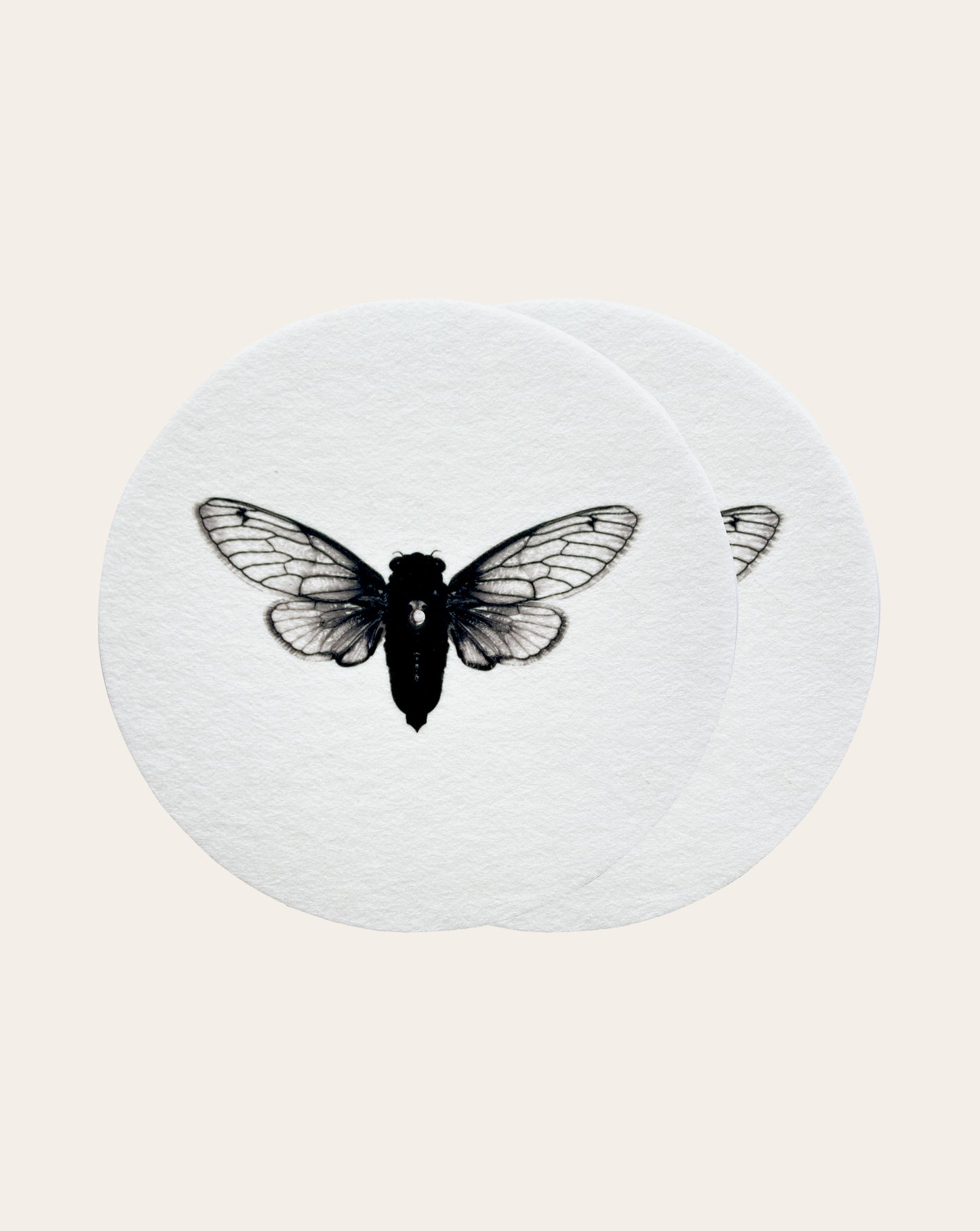 Cicada Vinyl Slipmat