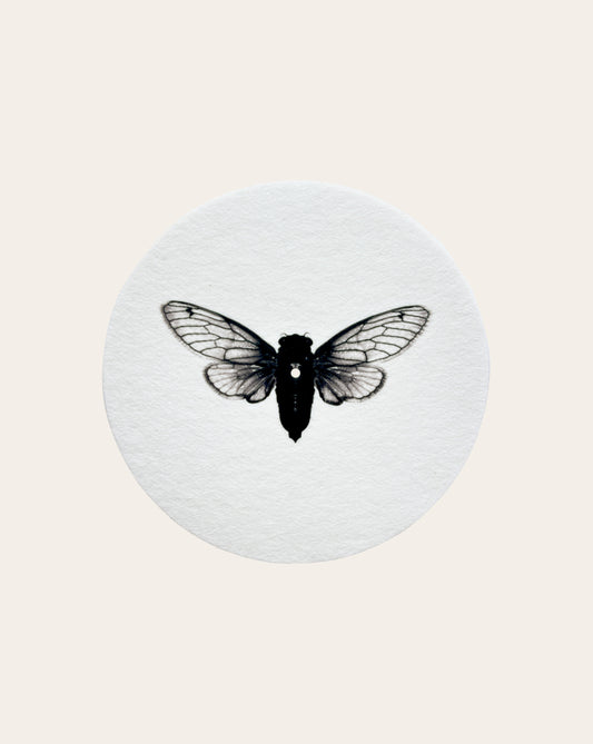 Cicada Vinyl Slipmat