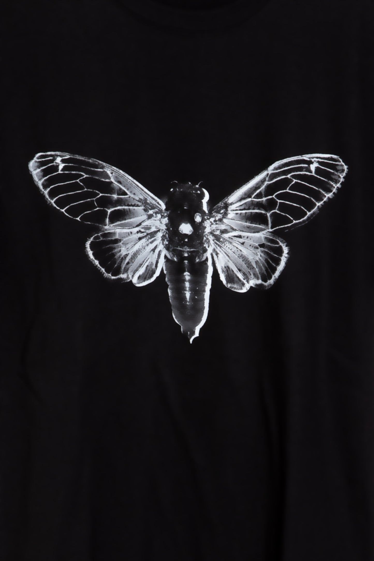 Cicada Tee