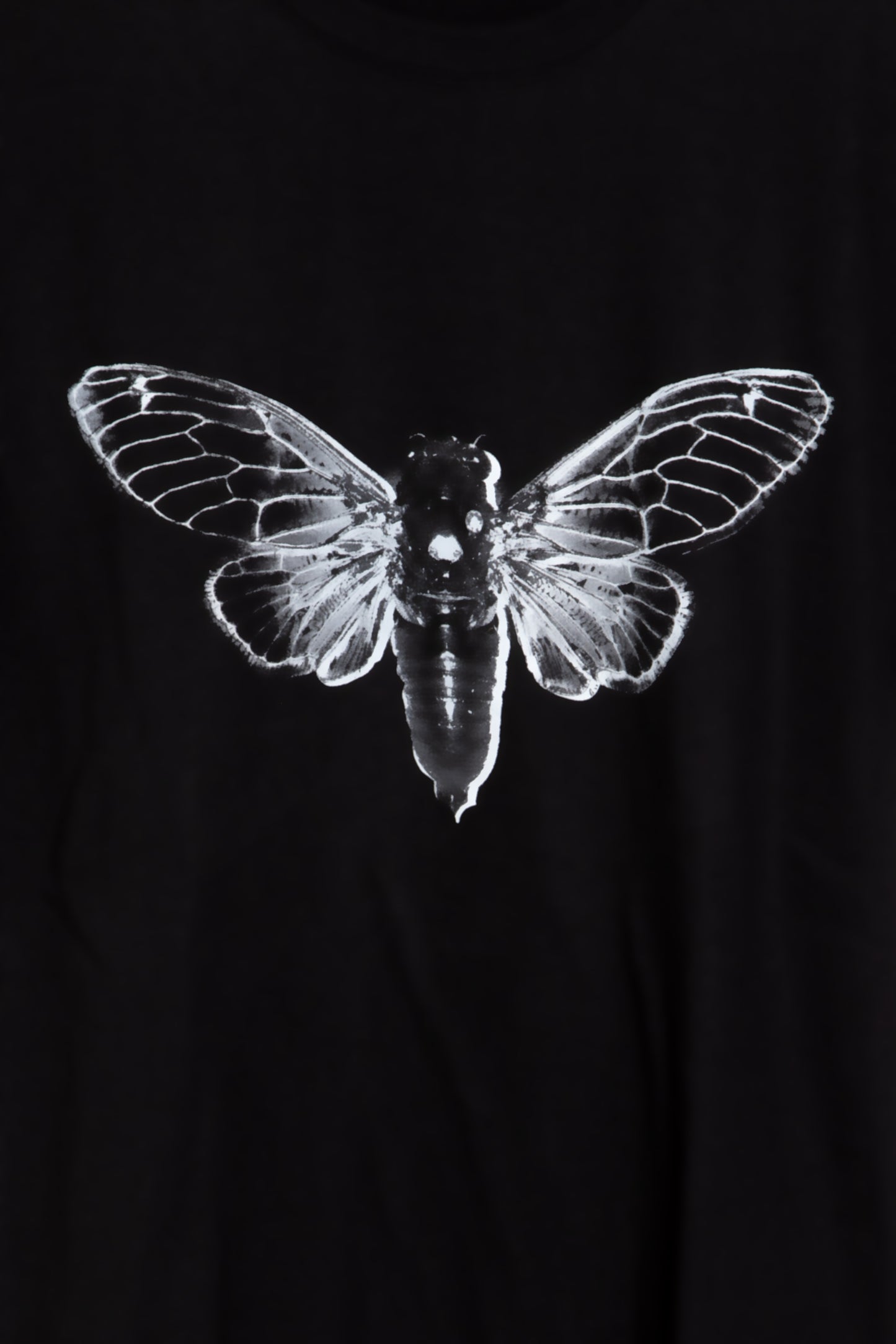 Cicada Tee Redux